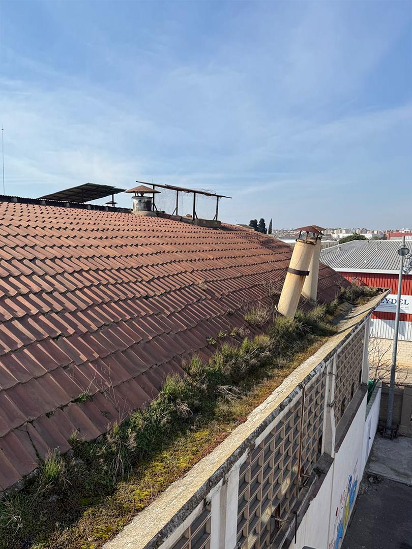 Abeco Reparaciones Impermeabilización líquida para cubiertas complejas, foto de detalle: 1. Levantamiento de la totalidad del tejado existente.